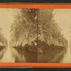 Canal in the South of Florida Connecting Indian River with Mosquito Inlet.