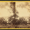 Tropical House, Rockledge.