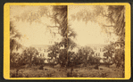 Tropical House, Rockledge.