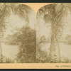 A Glimpse on the Suwanee River.
