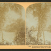 A Glimpse on the Suwanee River.