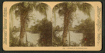 A Glimpse on the Suwanee River.