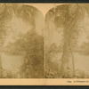 A Glimpse on the Suwanee River.