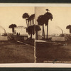 Street and dock at Sanford, Florida.