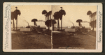 Street and dock at Sanford, Florida.