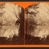 View of river and swamps.