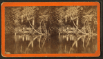 View of people on the banks of a river.