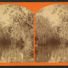 View of a river and swamps.