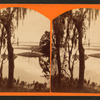 View of a river.
