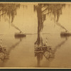 Lake Tohopekaliga, Florida.