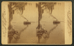 Lake Tohopekaliga, Florida.