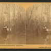 Florida. Steamer in the Great Cypress Pass. Ocklawaha.