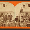 teamer "Marion" with passengers.