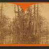 Ocklawaha River.