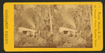 Sunday night camp, Ocklawaha River.