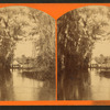 Oklawaha River, Florida.