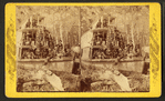 Steamer Oseola, Ocklawaha River, Fla.