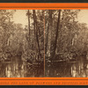 Great Cypress Gates, Ocklawaha River, Fla.