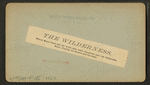 The Wilderness, where Major Dade and 107 of his men were massacred near the Ocklahawa River, Florida, by Osceola and his band.