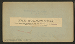 The Wilderness, where Major Dade and 107 of his men were massacred near the Ocklahawa River, Florida, by Osceola and his band.