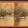 Oclawaha River, Florida.