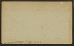 ["Okahumkee" Steamer with passengers.]