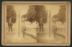 Man and woman, with parasol, standing behind double fountain.