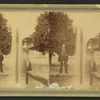 Man and woman, with parasol, standing behind double fountain