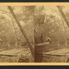 A Fine view of the Oclawaha River at Palmetto Landing.