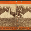Pyramids of Major Dade and 107 of his Men, who were massacred at Fort Dade, Florida, by Osceola and his Band.