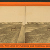 Old Fort San Marco.