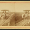 Tramway on Anastasia Island.