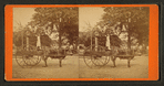The Lightning Express, or the Team of a Florida Cracker.