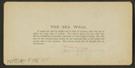 The Sea Wall.