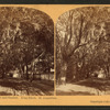 Sunshine and shadow, King St., St. Augustine, Fla.