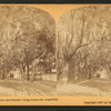 Sunshine and shadow, King Street, St. Augustine, Fla.