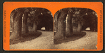 Ball's carriage road, and showing the orange archway in the distance. St. Augustine, Fla.