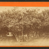 Orange archway.