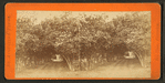 Orange archway.