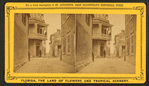 Treasury St., Seven feet wide.