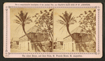 The oldest house, and date palm, St. Francis St.,  St. Augustine.