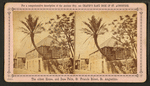 The oldest house, and date palm, St. Francis St.,  St. Augustine.