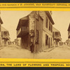 St. George Street.