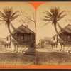 St. Francis St., Oldest house in St. Augustine, Fla.