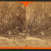 Sunshine and shadow, King Street, St. Augustine, Fla.
