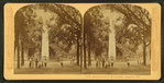 Revolutionary Monument, Augusta, Ga.