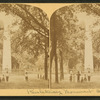 Revolutionary Monument, Augusta, Ga.
