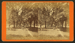 Green Street in Augusta, Ga.