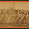 Cotton in R.R. yard.