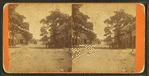 Cotton Ave, Macon, Ga.